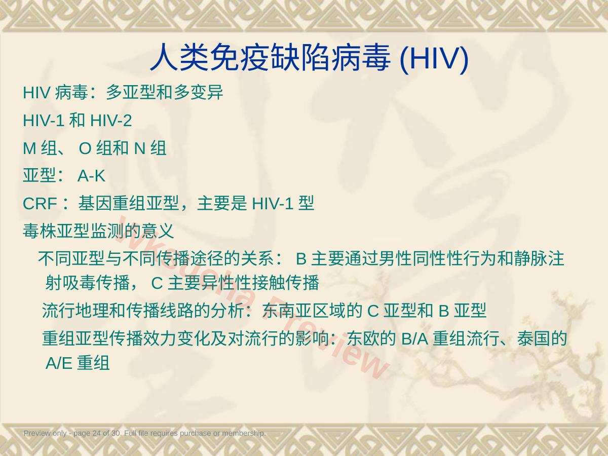 预览第 24 页