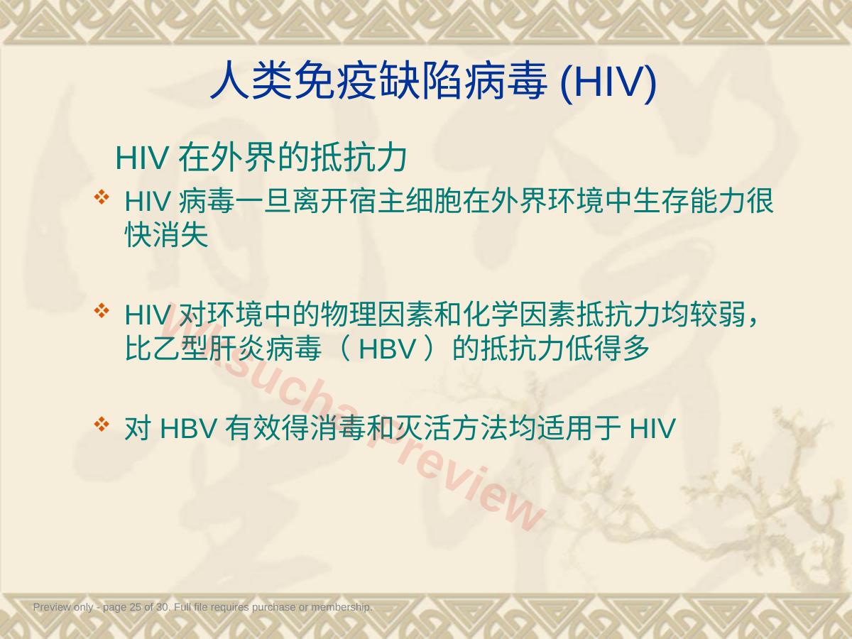 预览第 25 页