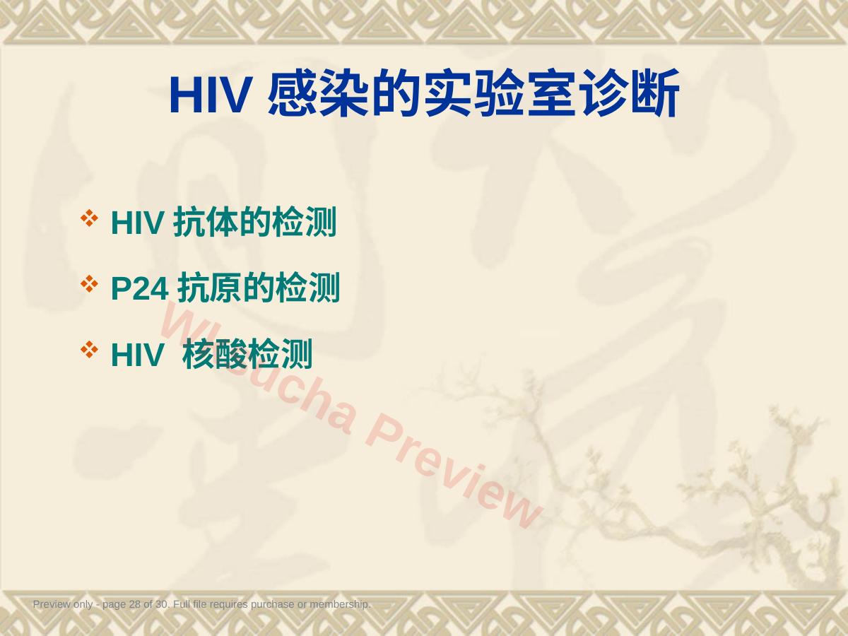 预览第 28 页