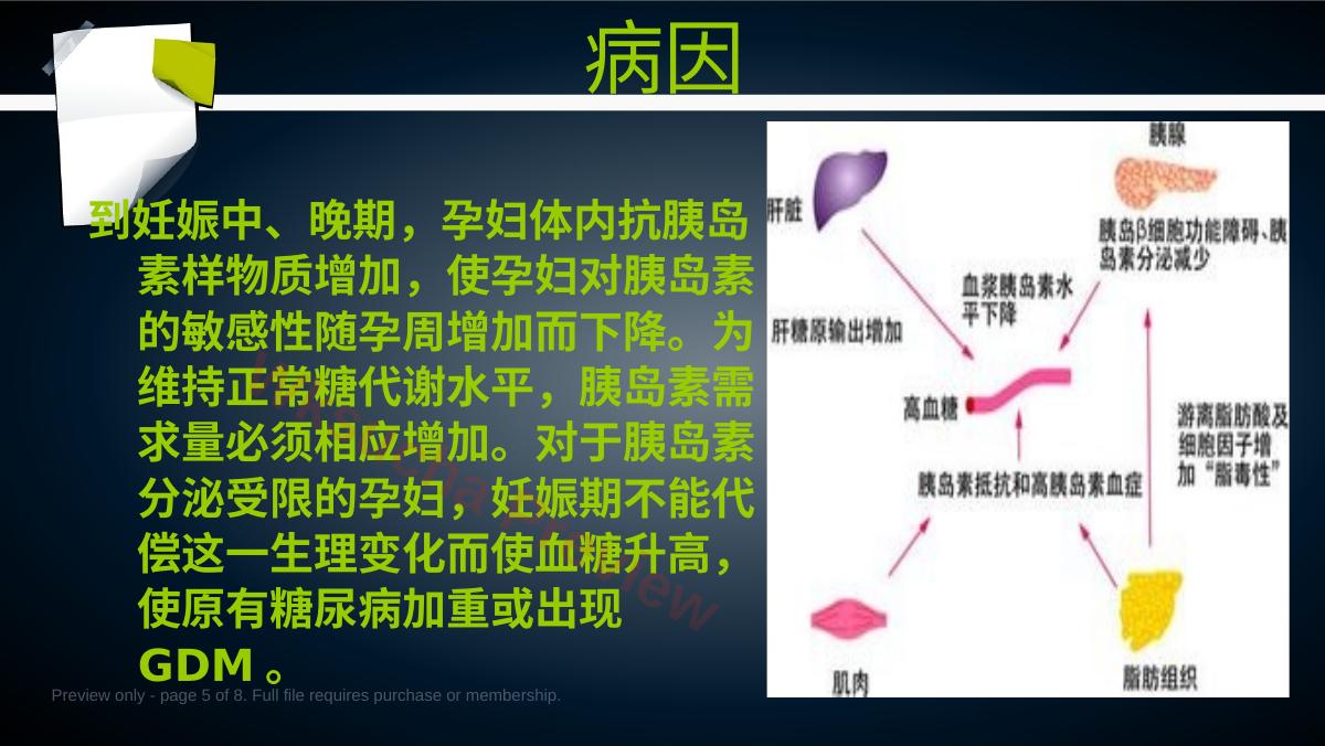 预览第 5 页