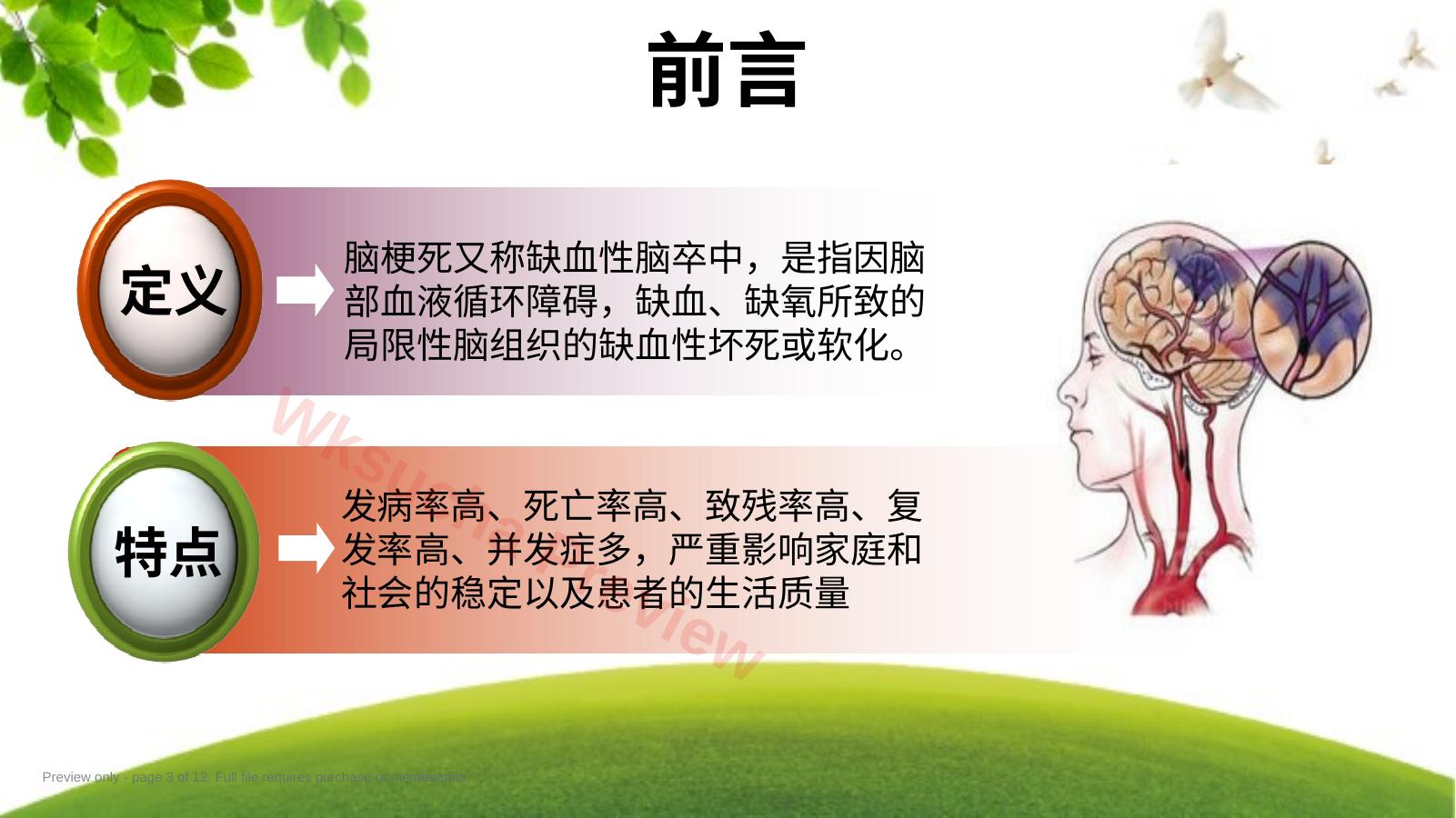 预览第 3 页