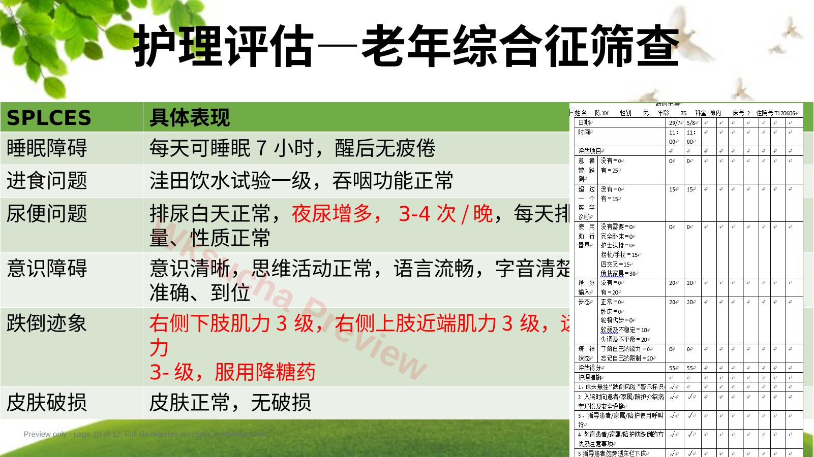 预览第 10 页