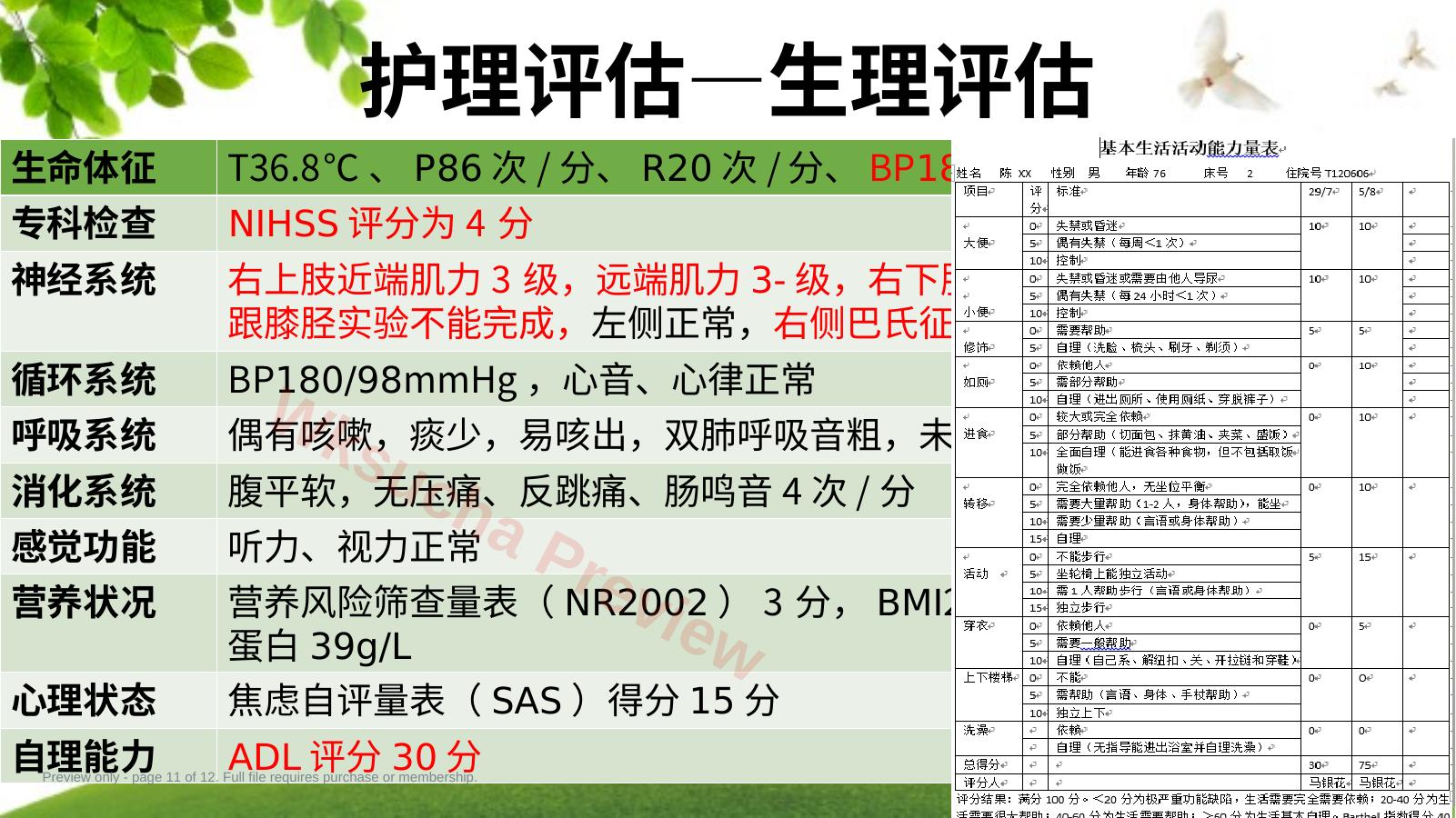 预览第 11 页