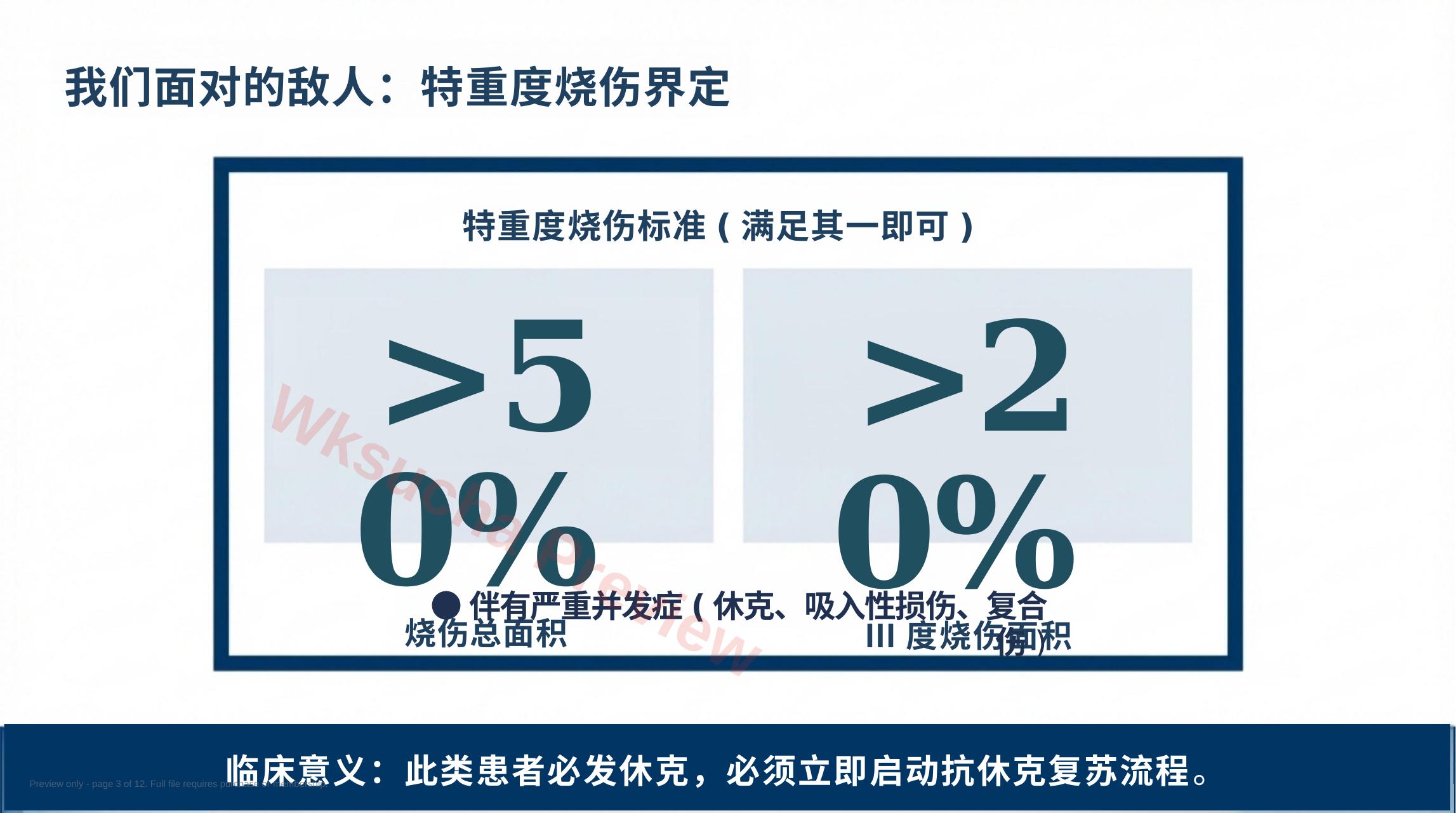预览第 3 页