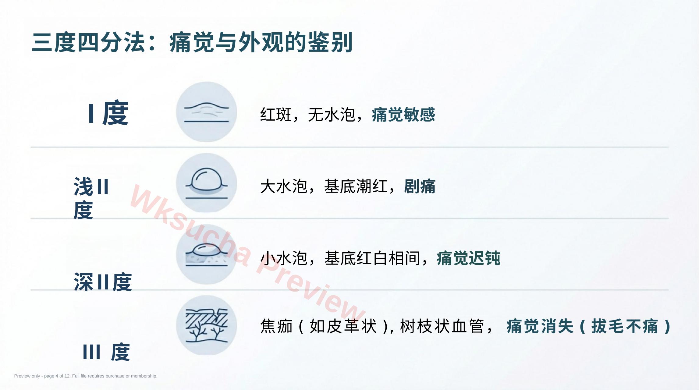预览第 4 页