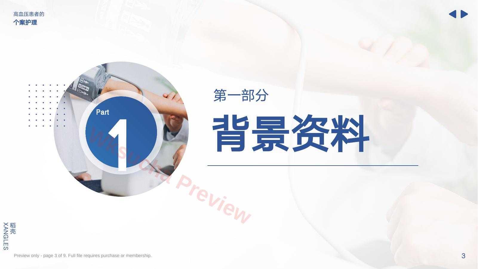 预览第 3 页