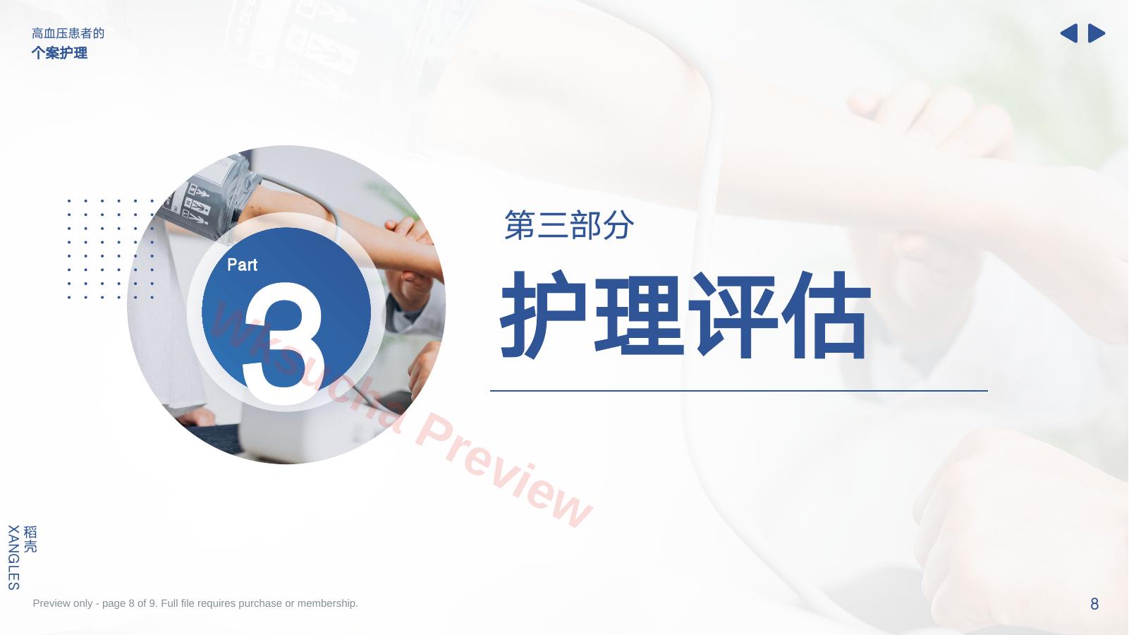 预览第 8 页