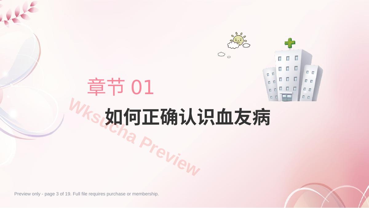 预览第 3 页