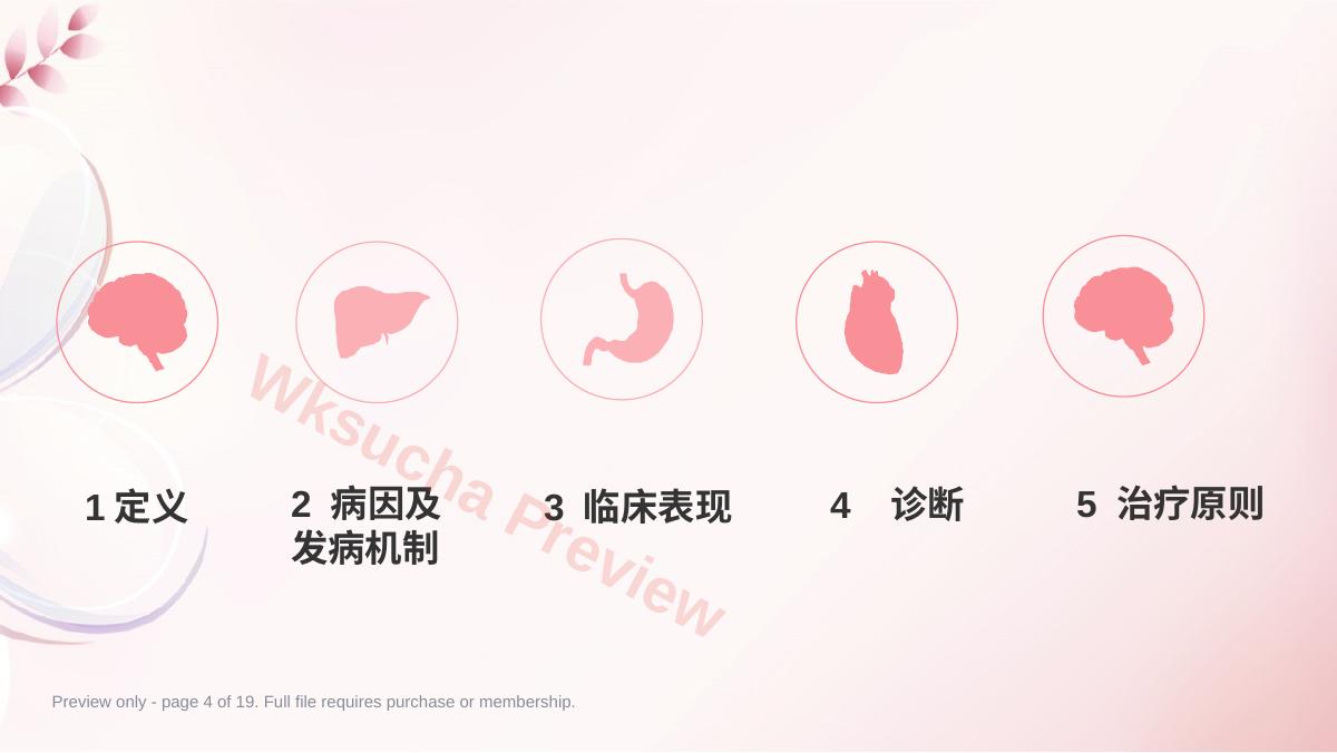 预览第 4 页