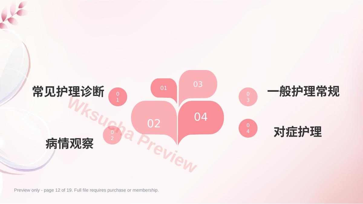 预览第 12 页