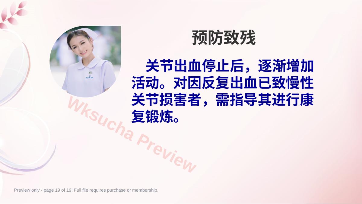 预览第 19 页