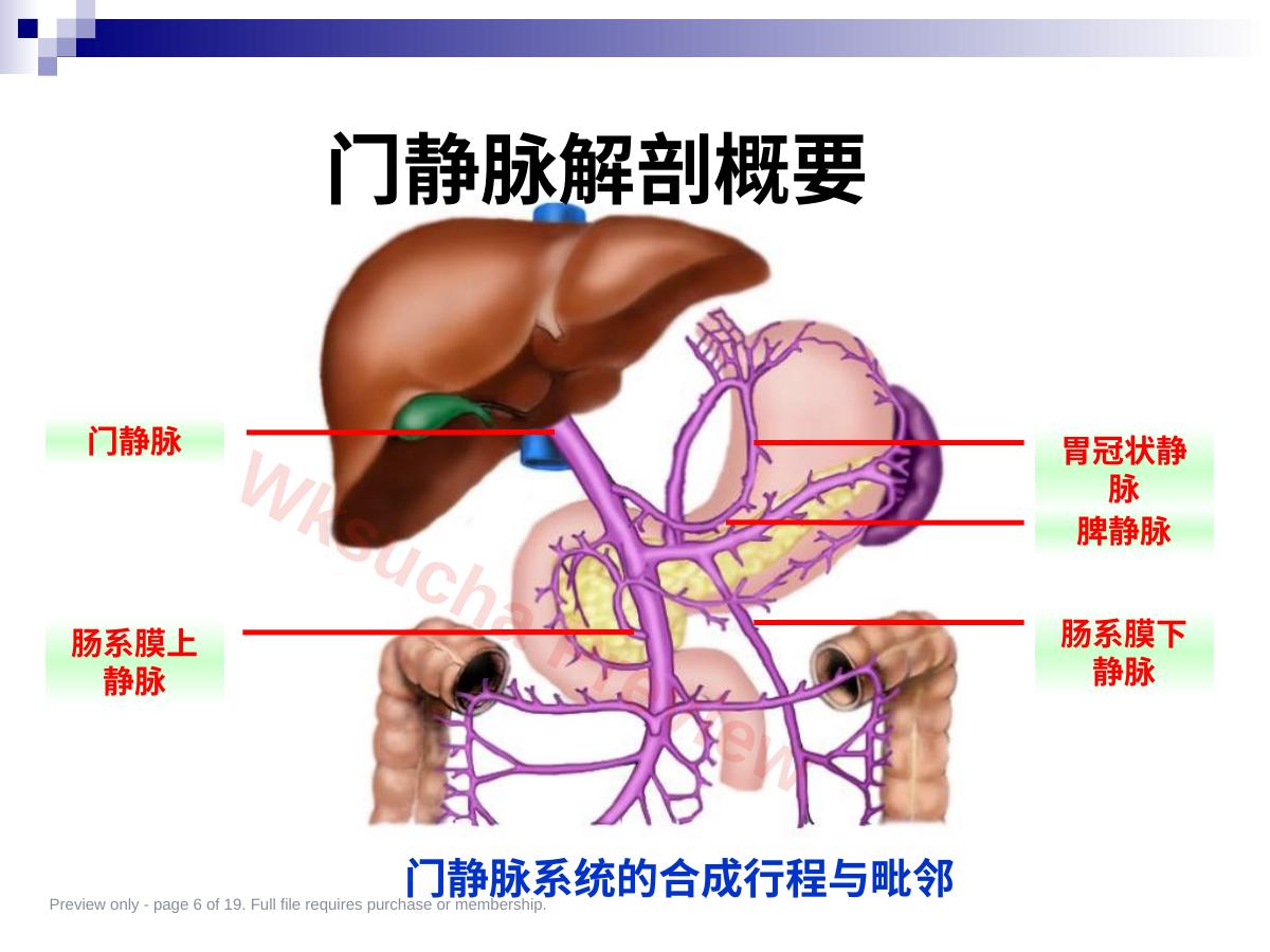 预览第 6 页