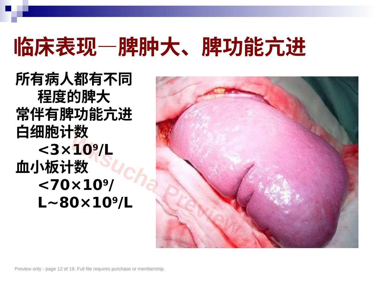 预览第 12 页