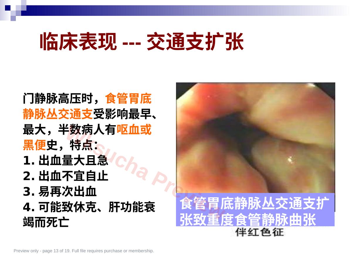 预览第 13 页