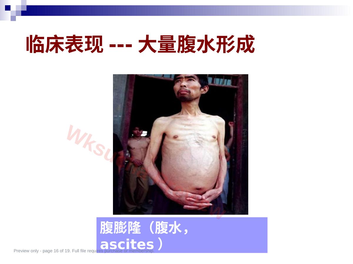 预览第 16 页
