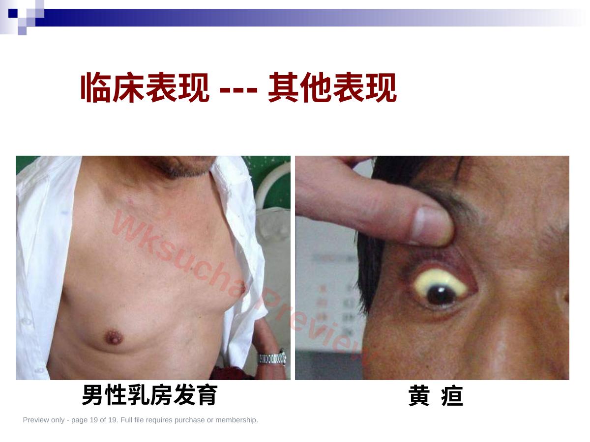 预览第 19 页