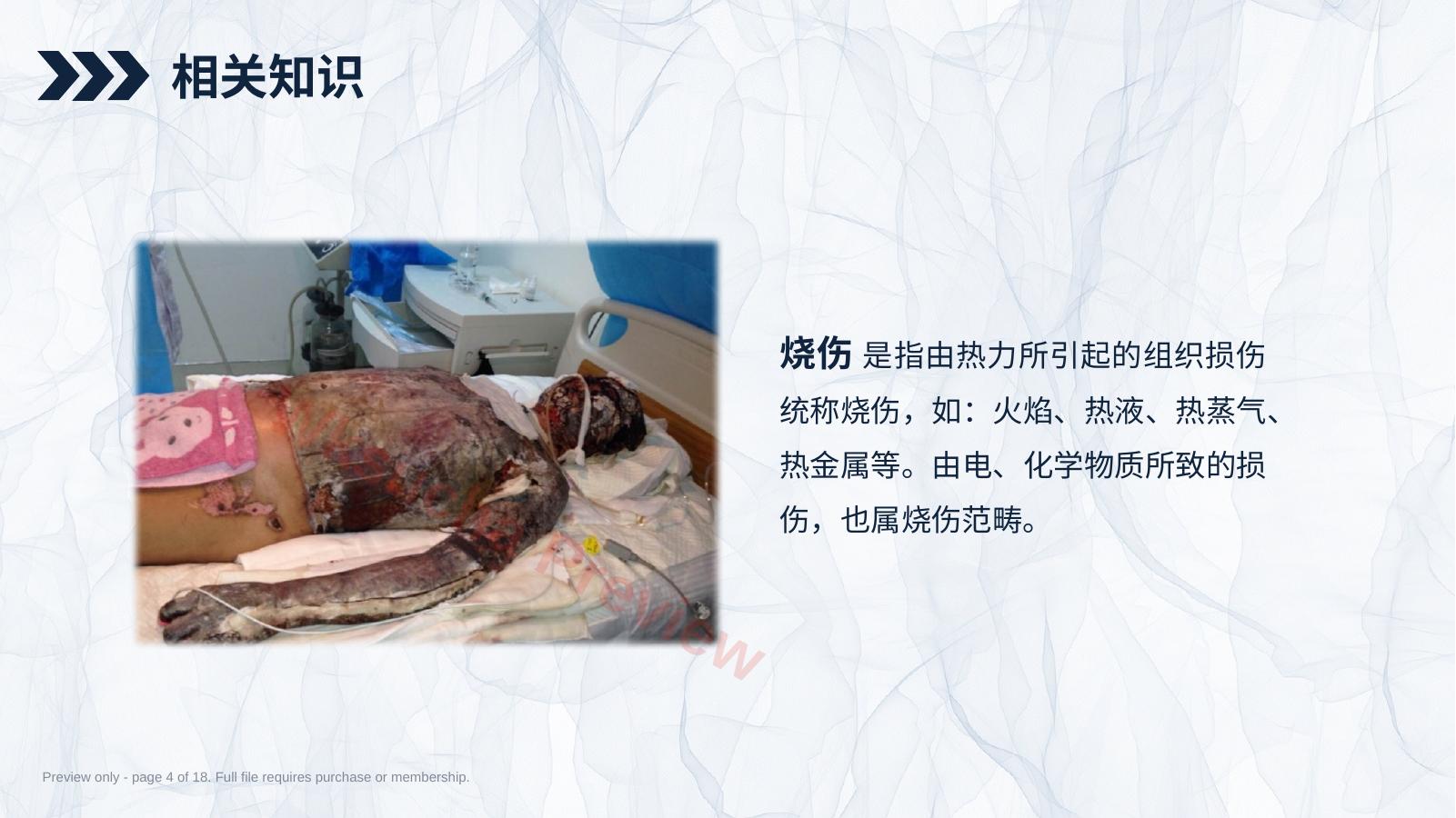 预览第 4 页