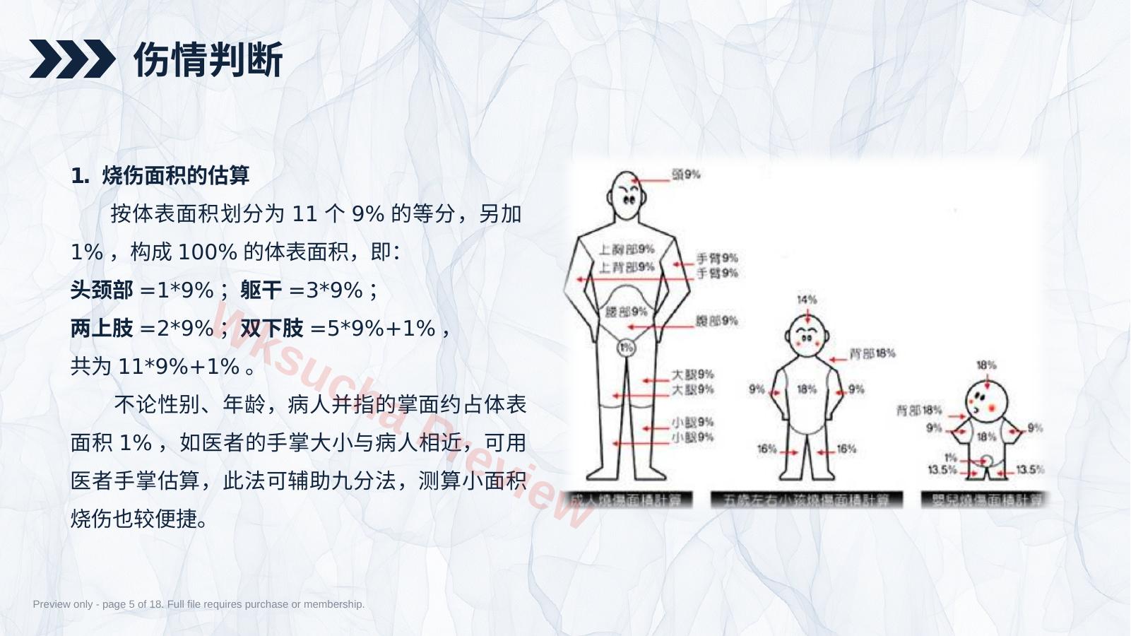 预览第 5 页