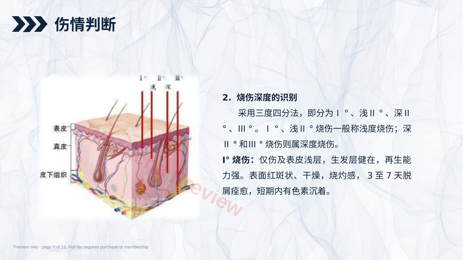 预览第 6 页
