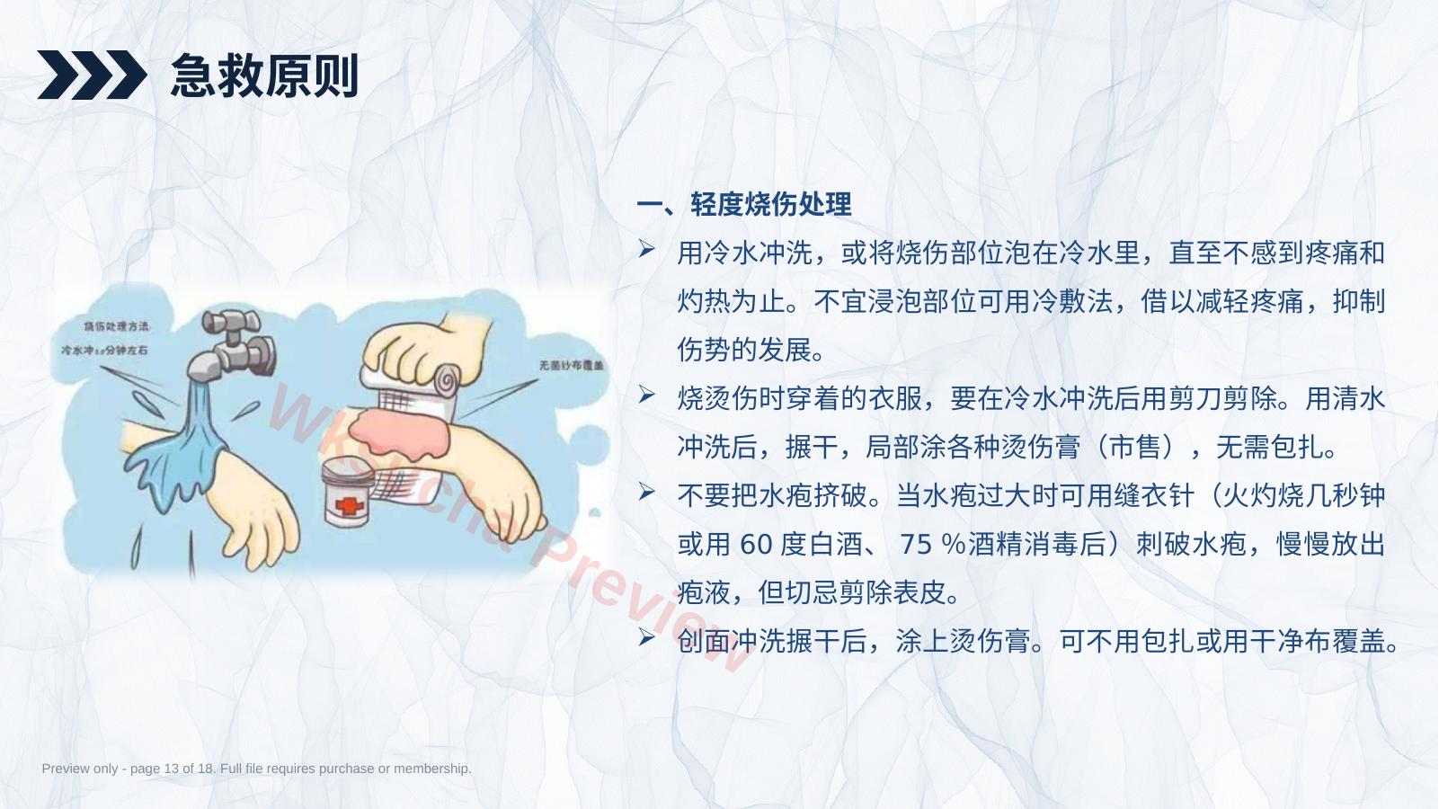 预览第 13 页