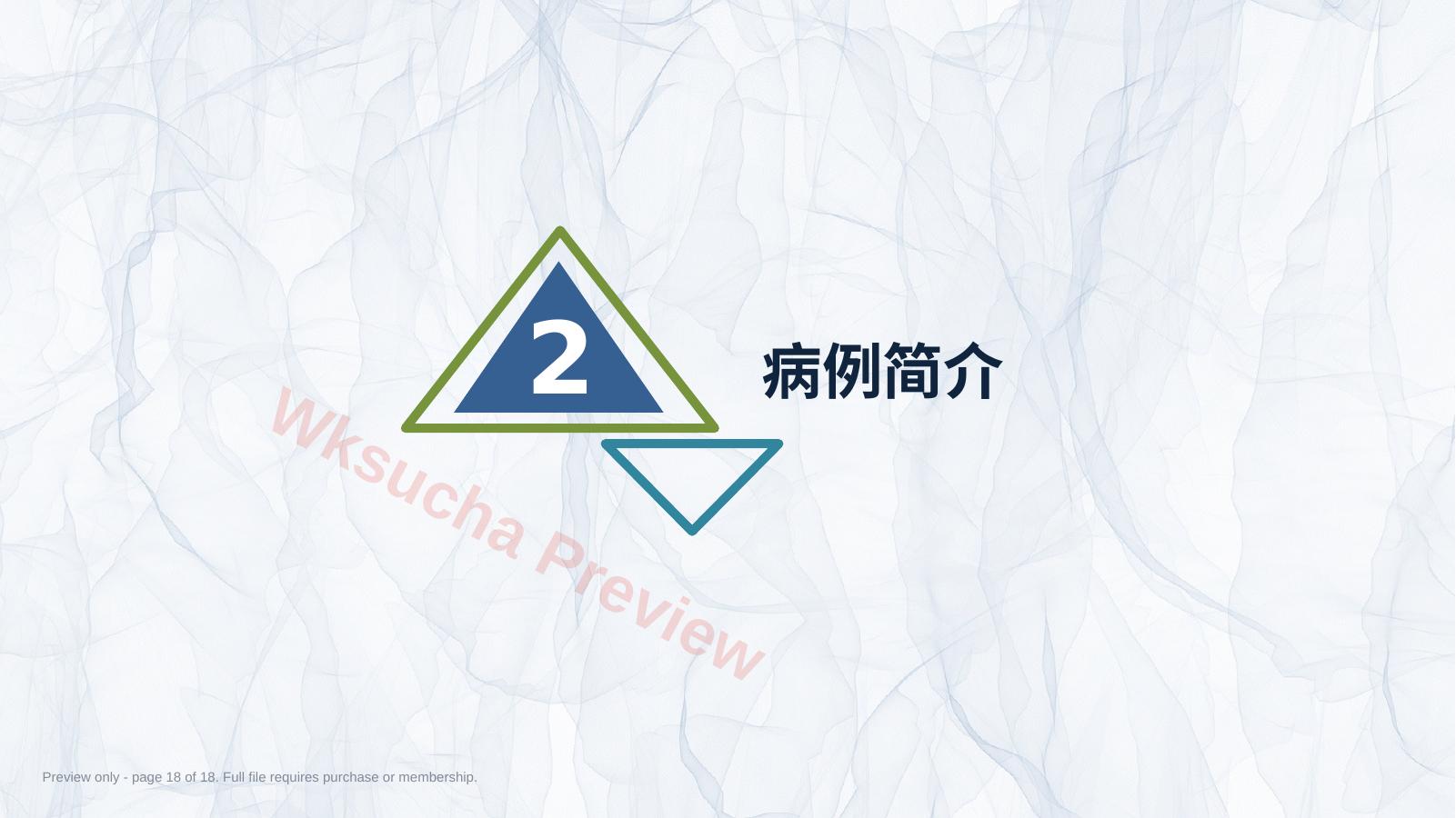 预览第 18 页