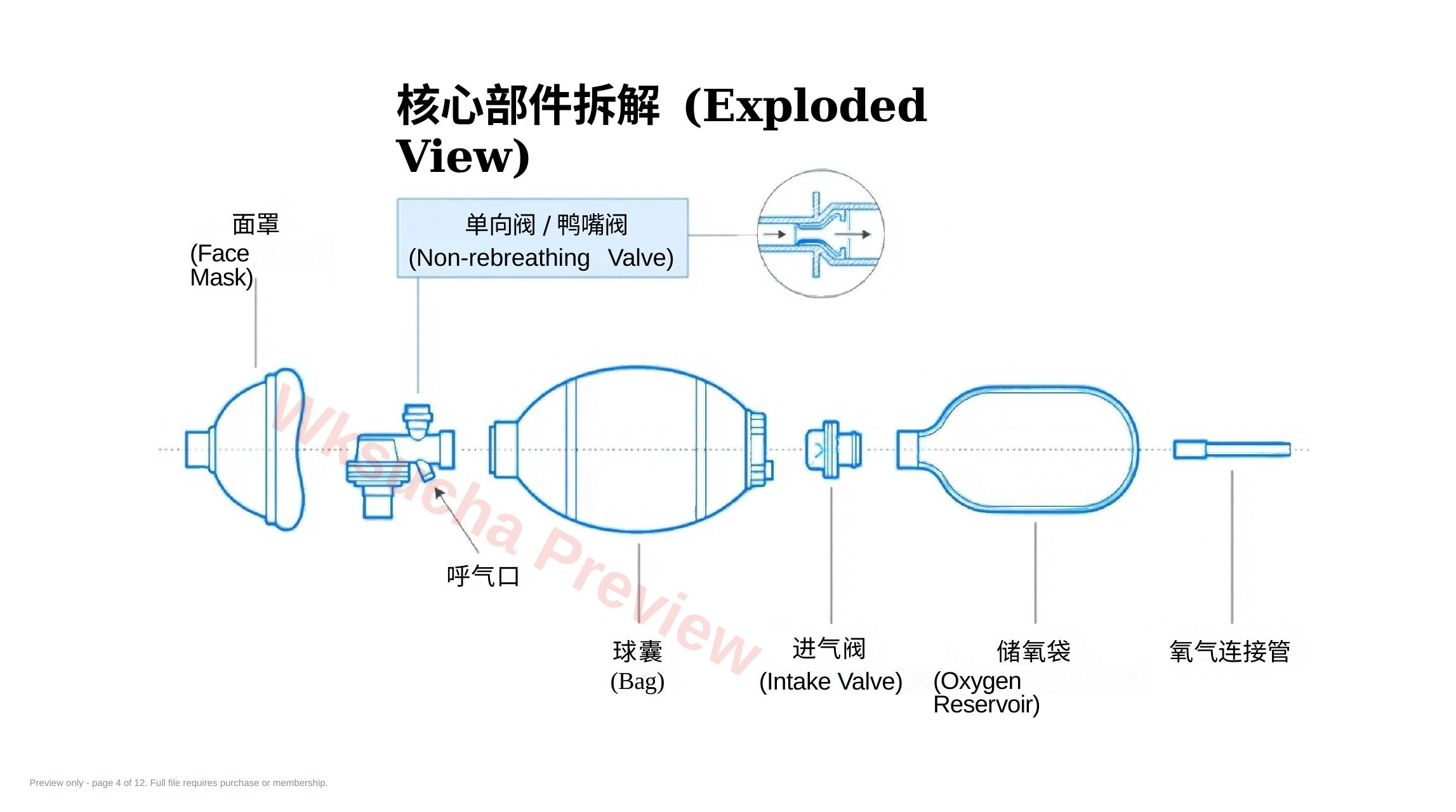 预览第 4 页