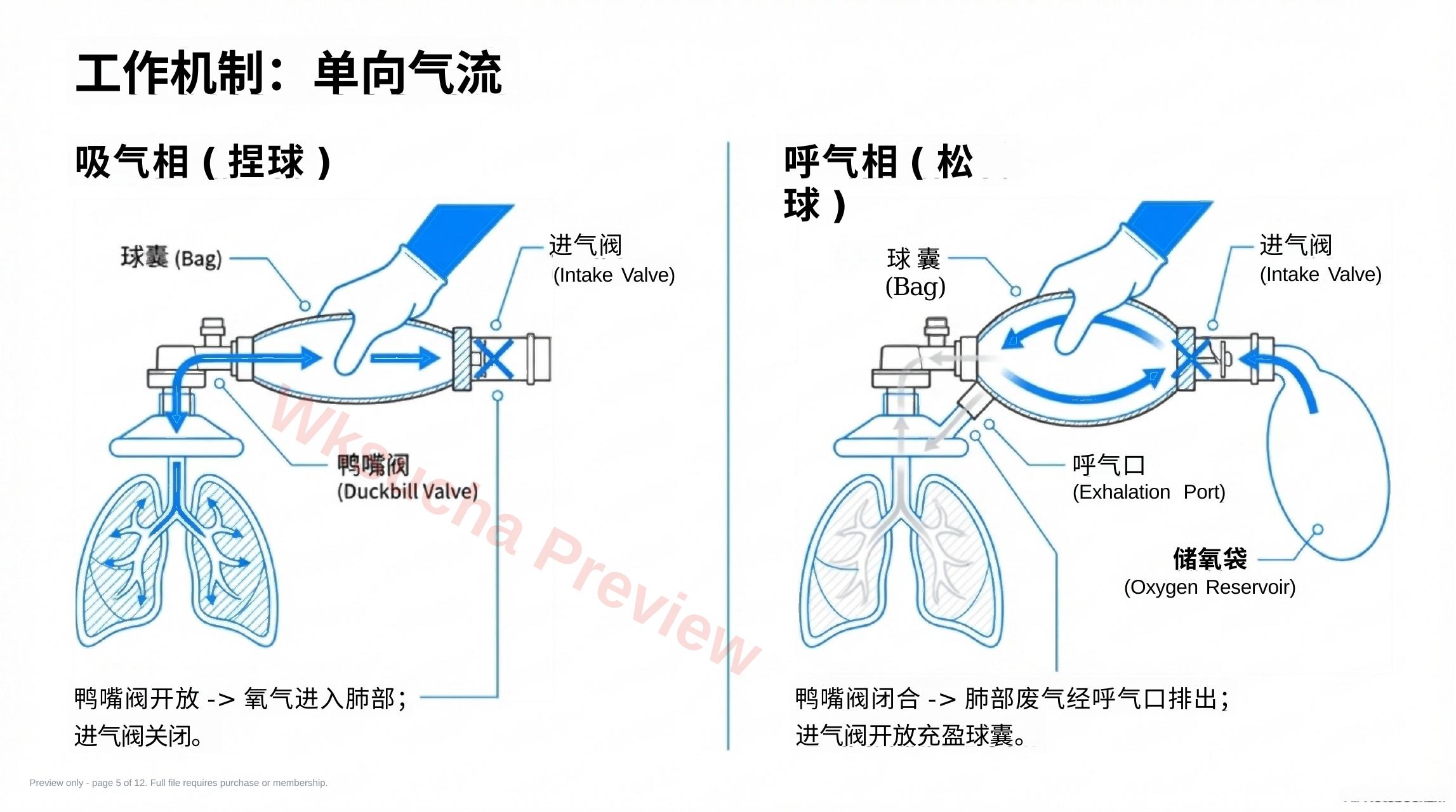 预览第 5 页