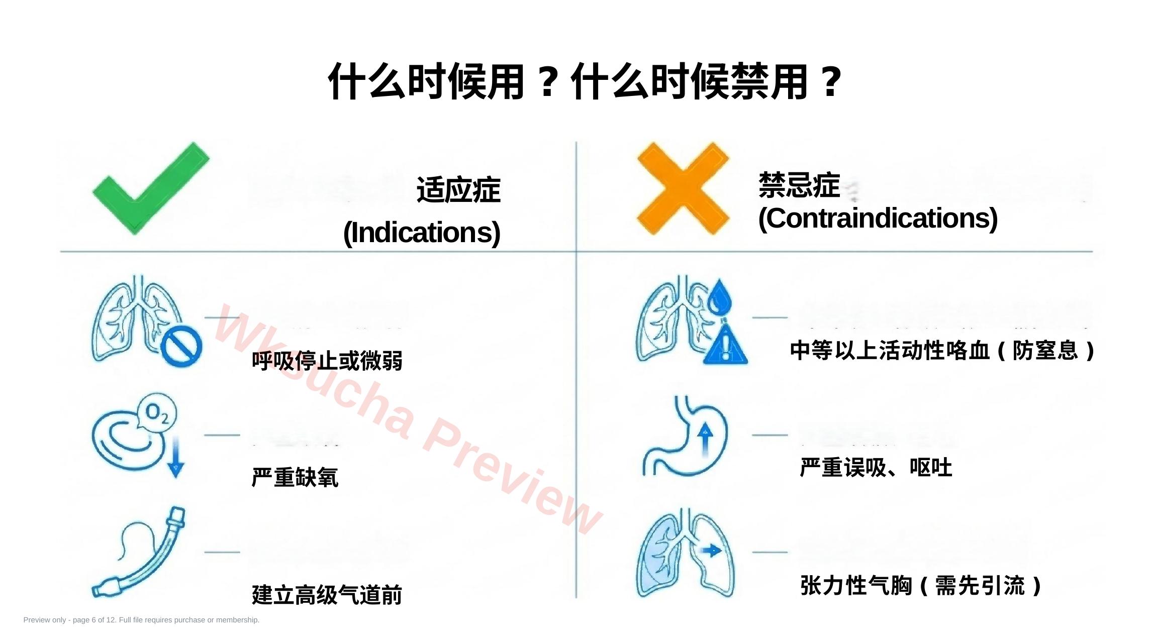 预览第 6 页