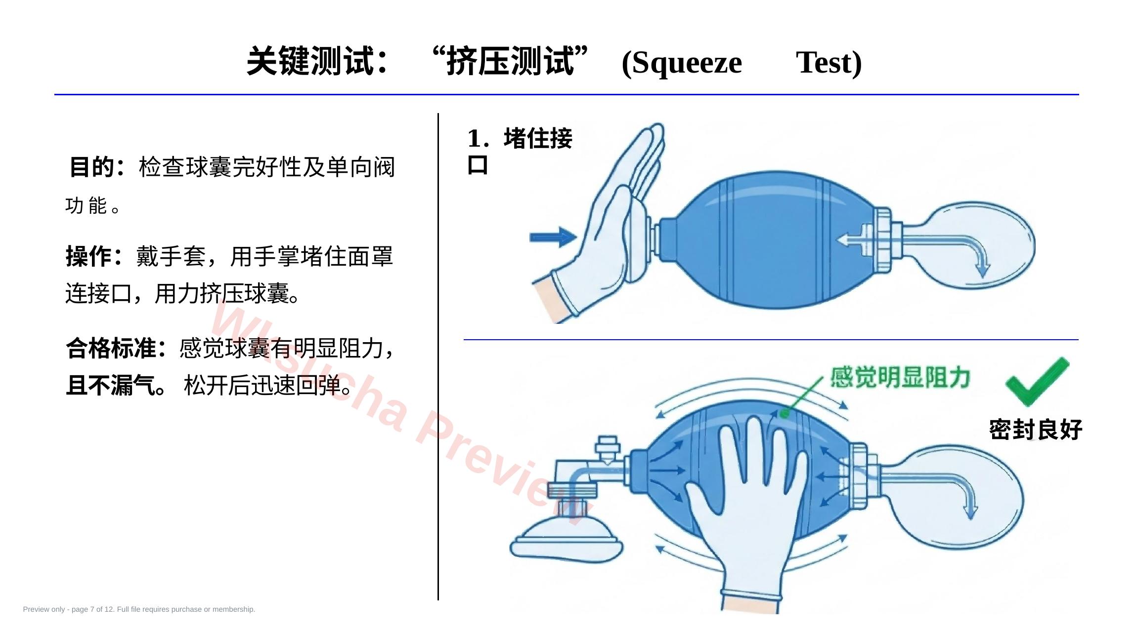 预览第 7 页