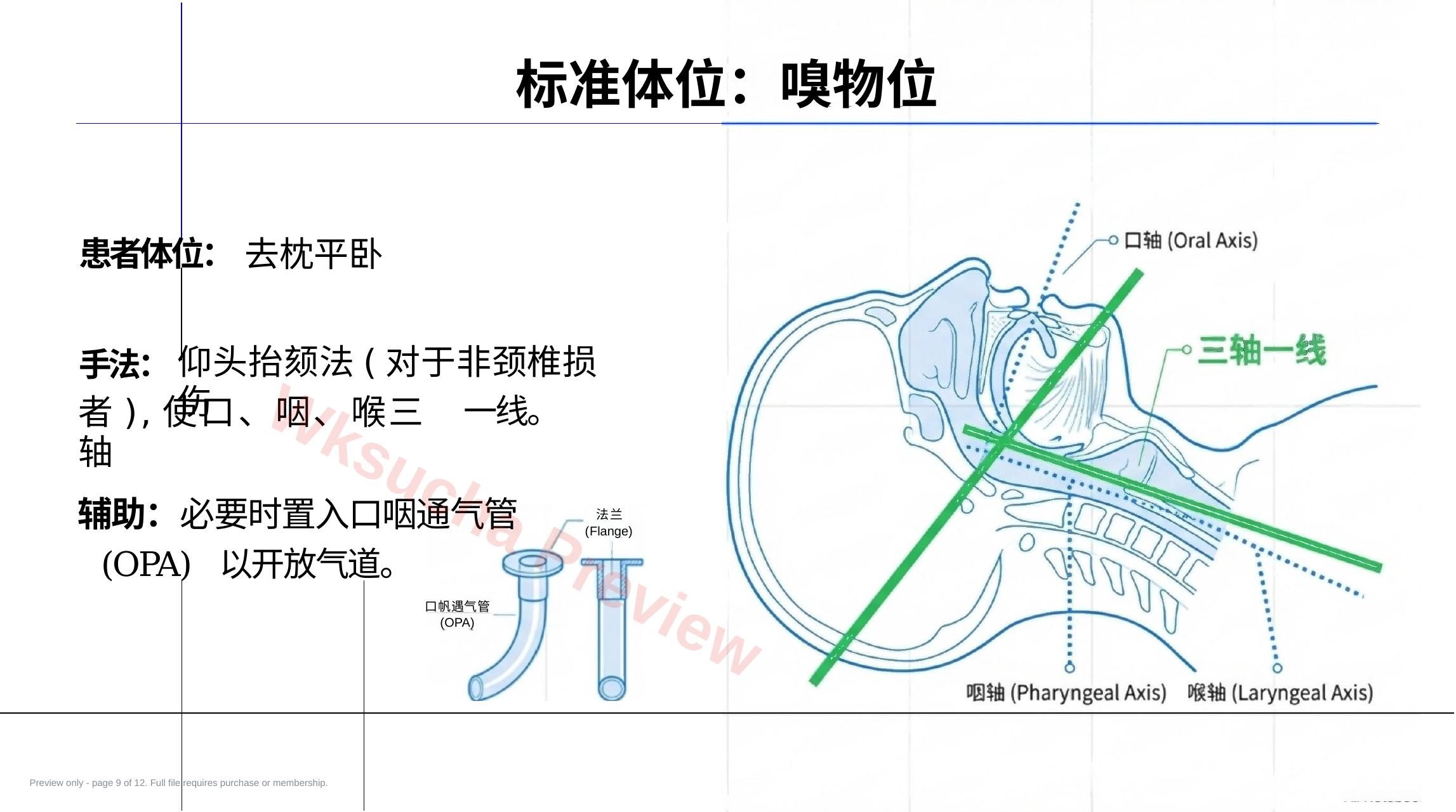 预览第 9 页