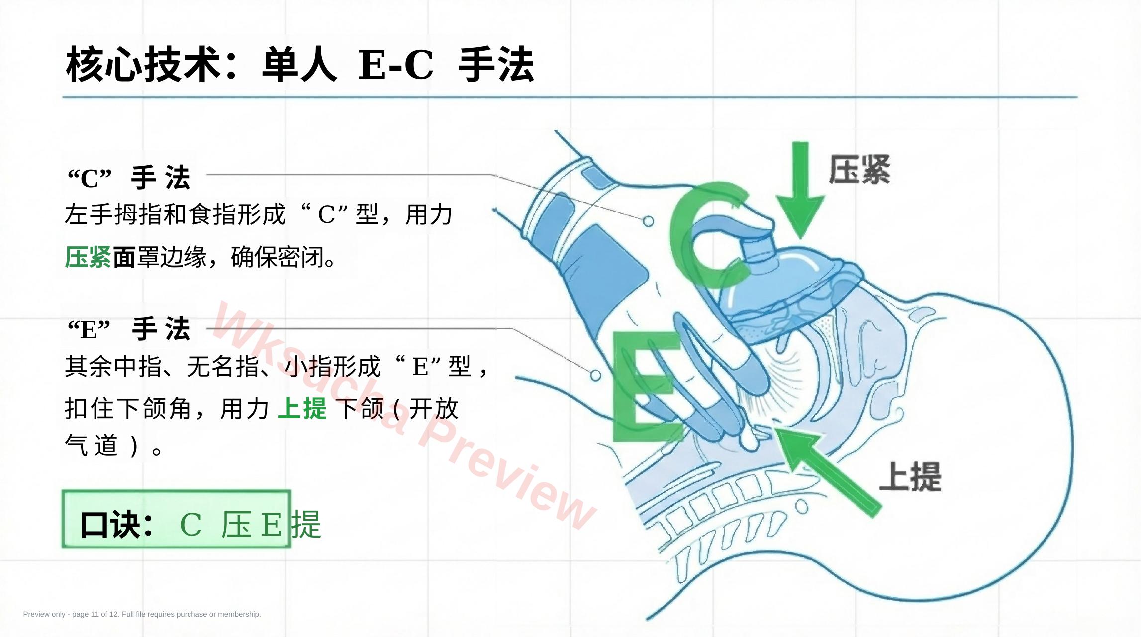 预览第 11 页