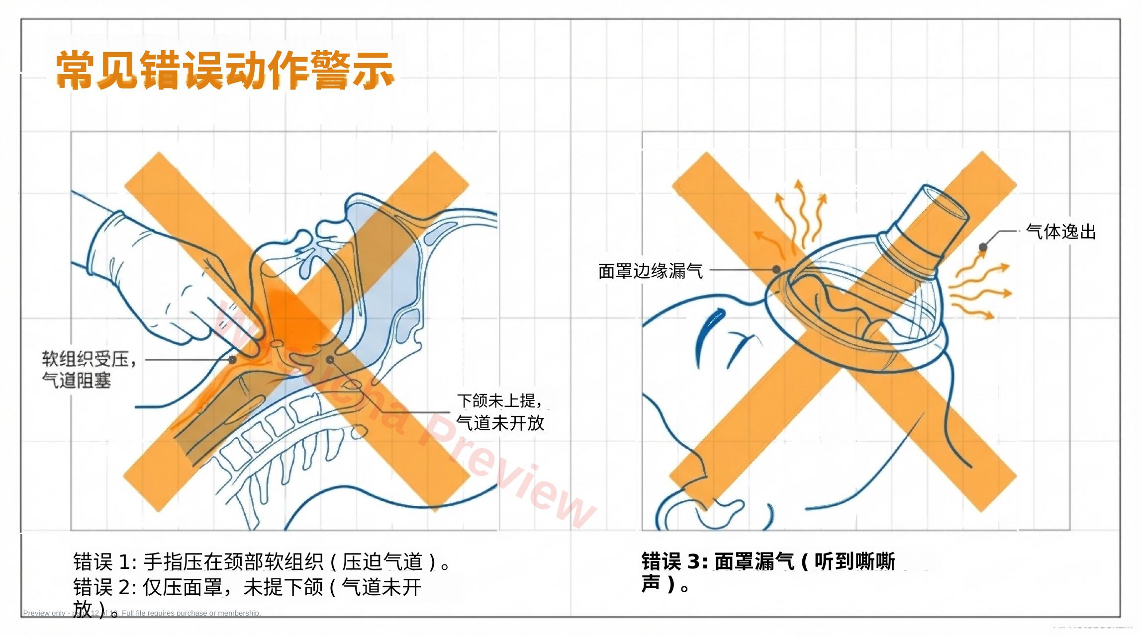 预览第 12 页