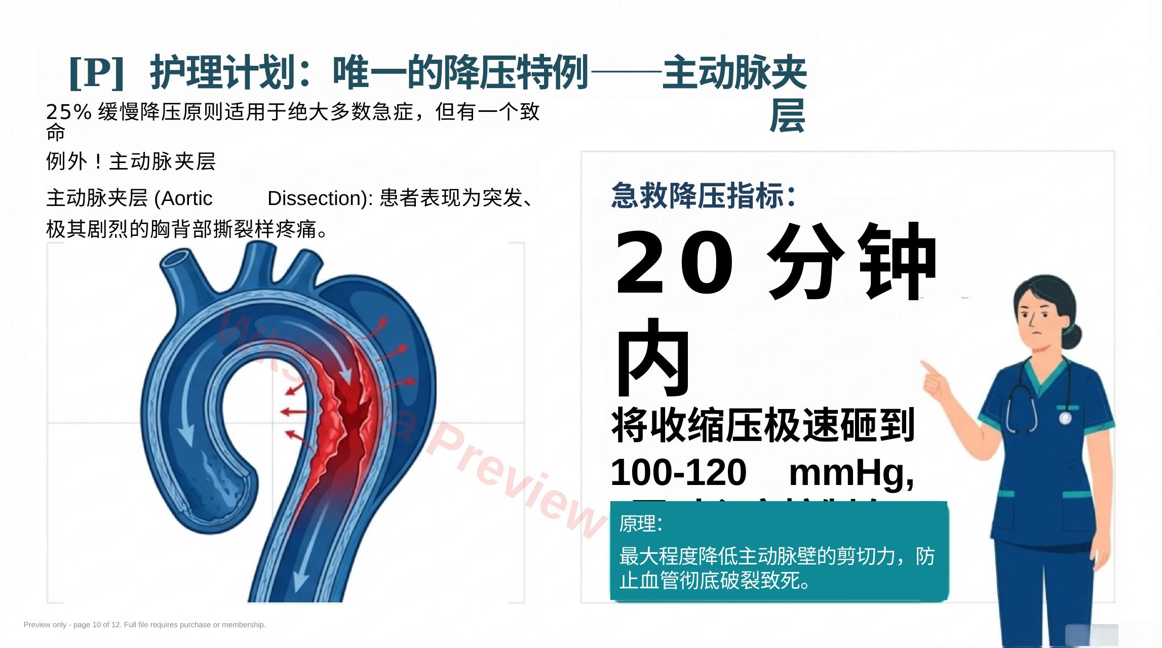 预览第 10 页