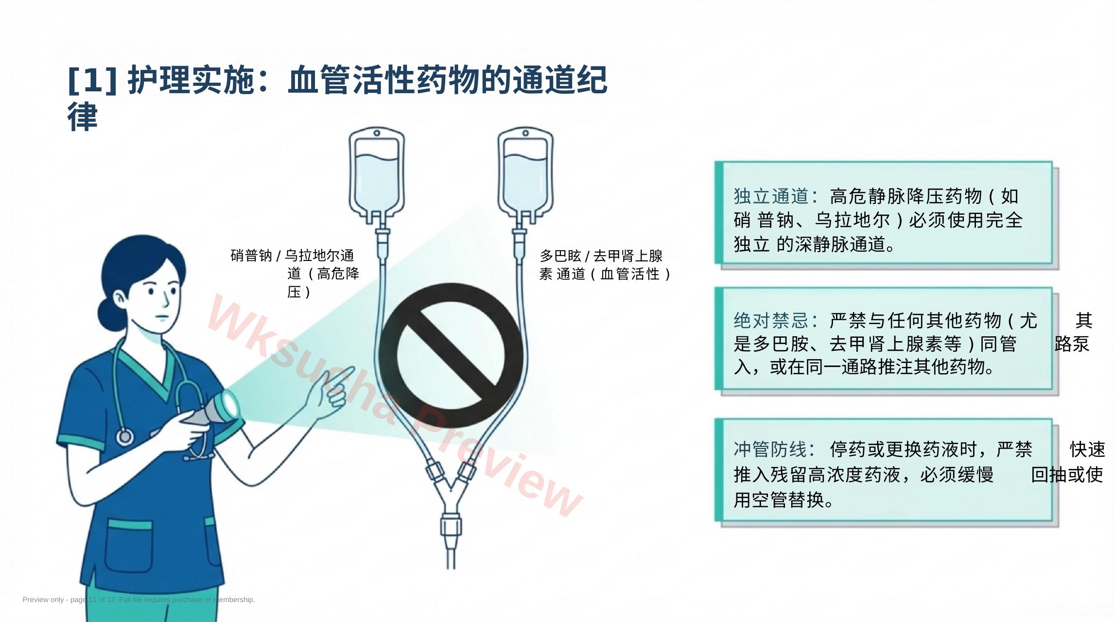 预览第 11 页