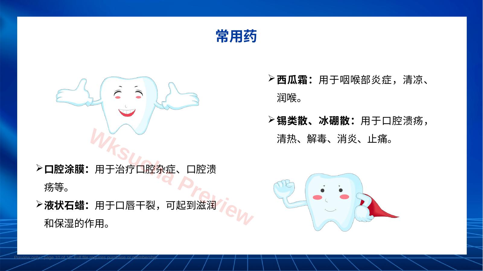 预览第 10 页