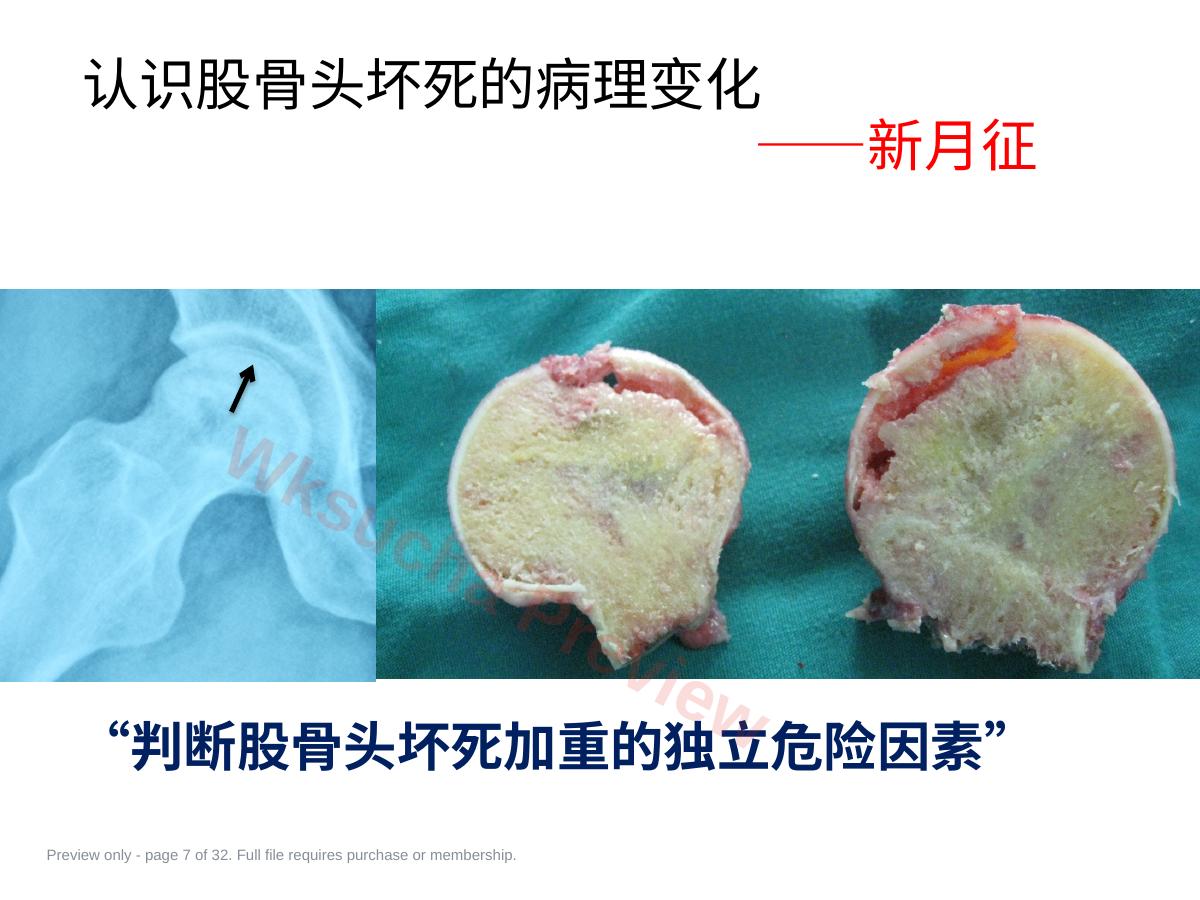 预览第 7 页