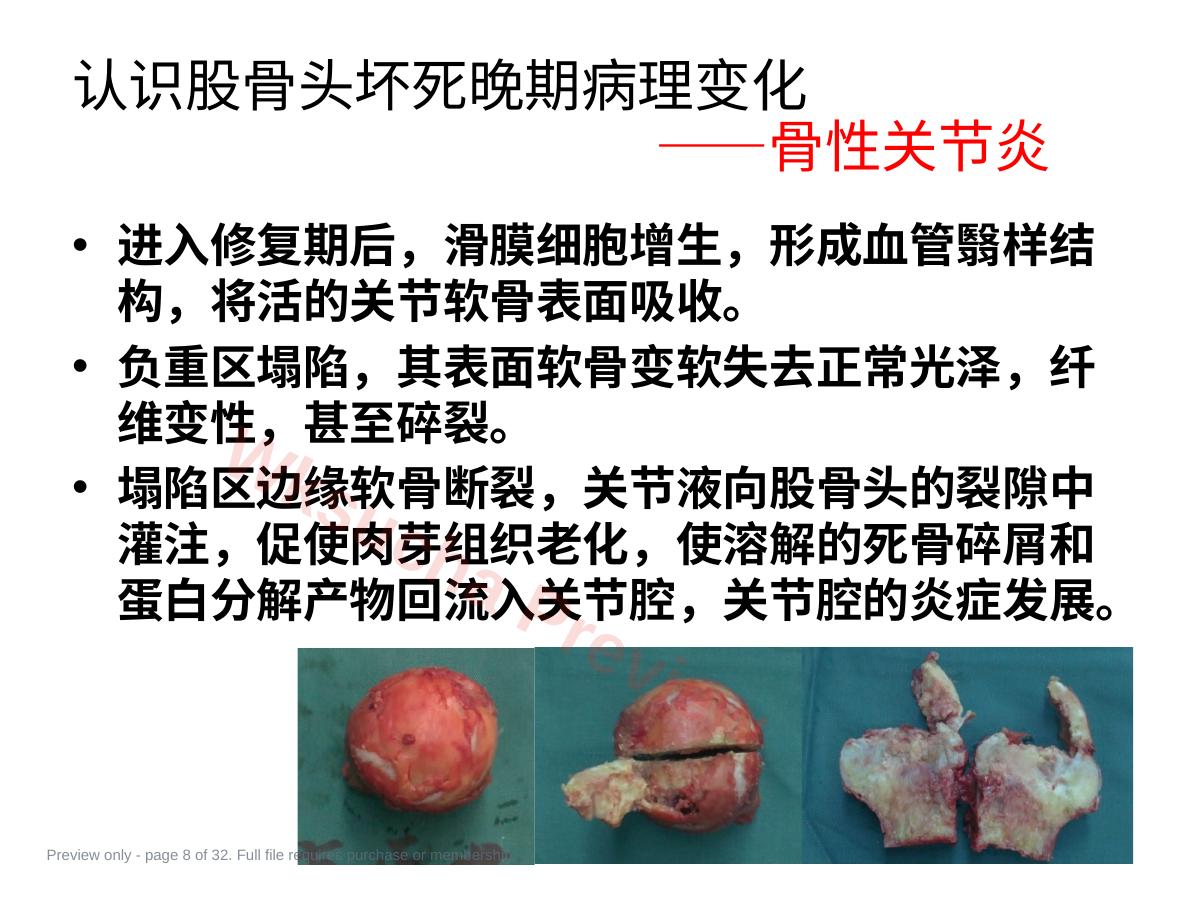 预览第 8 页