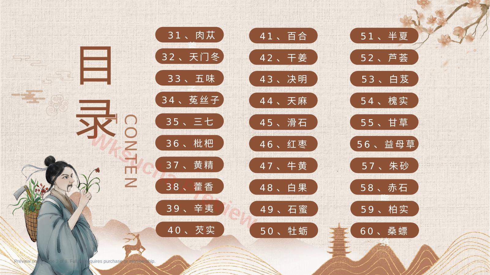 预览第 3 页
