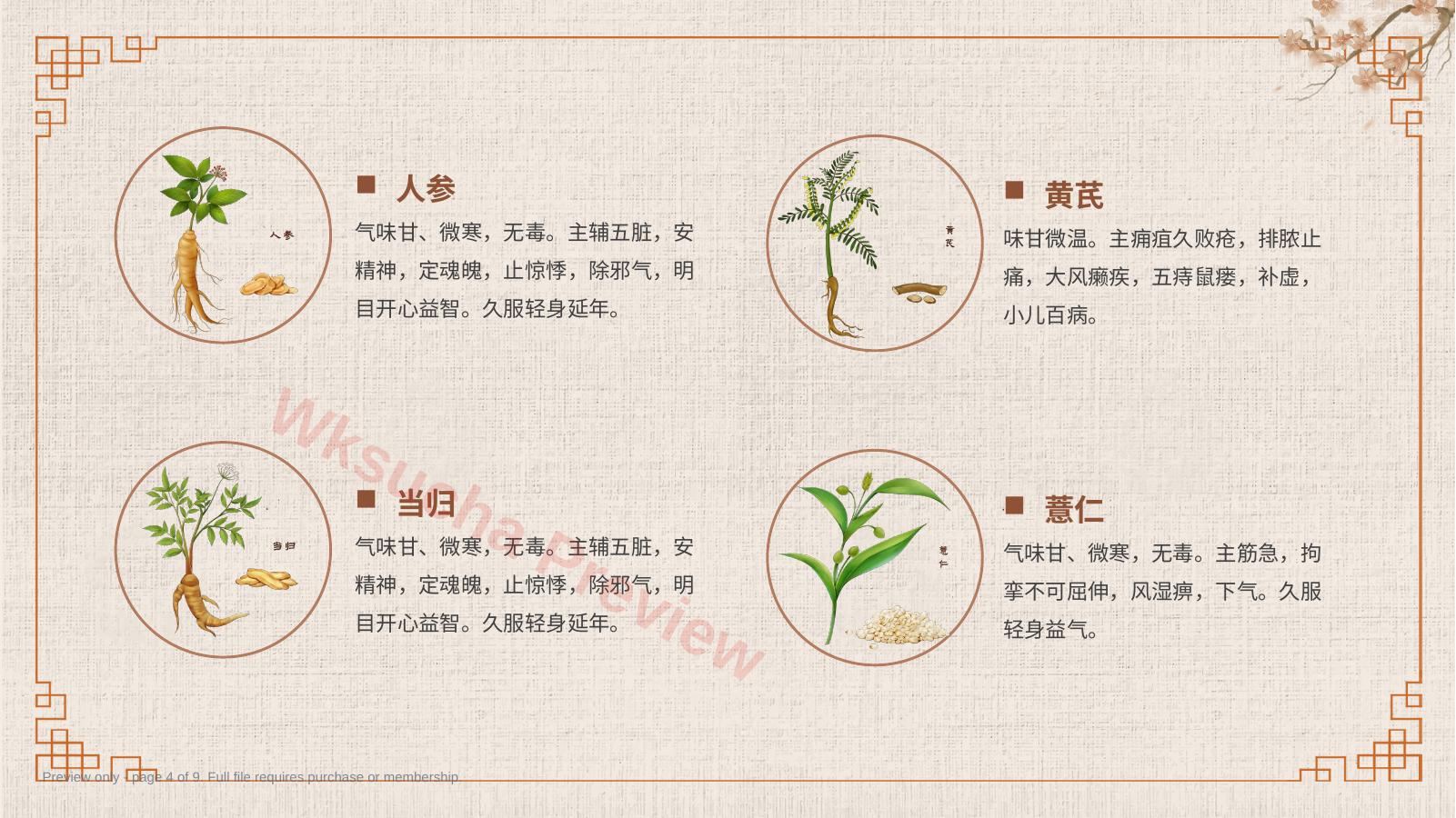预览第 4 页