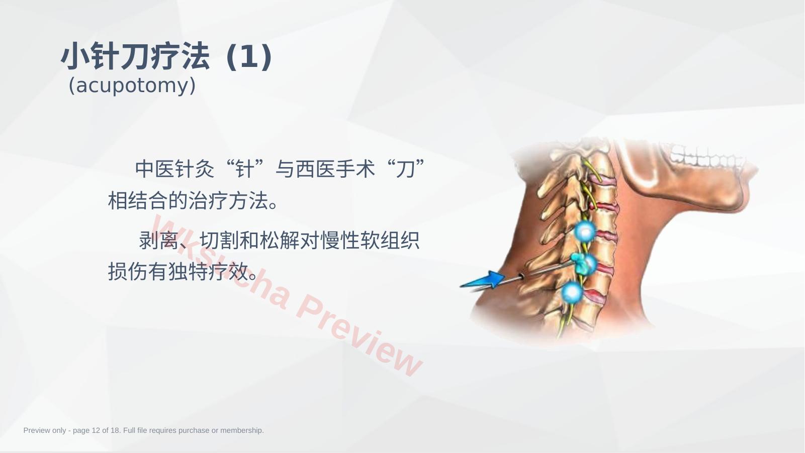 预览第 12 页