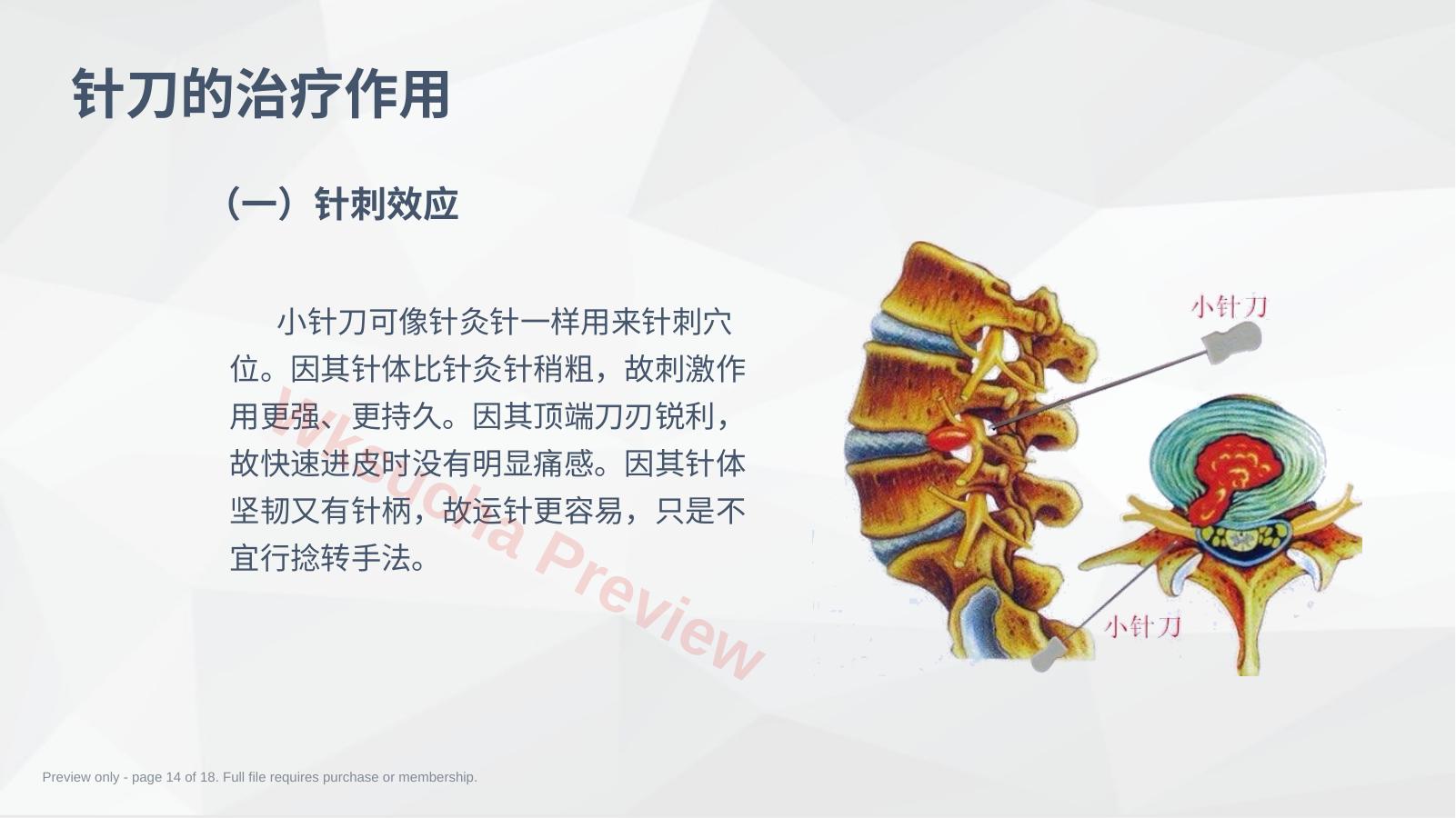 预览第 14 页