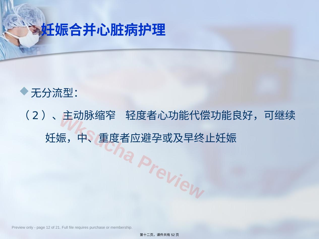 预览第 12 页