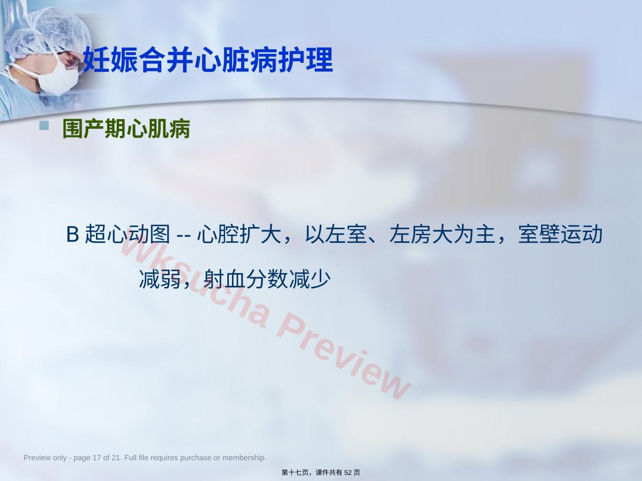 预览第 17 页