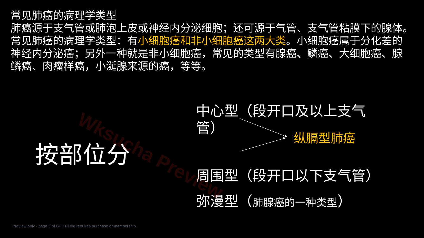 预览第 3 页