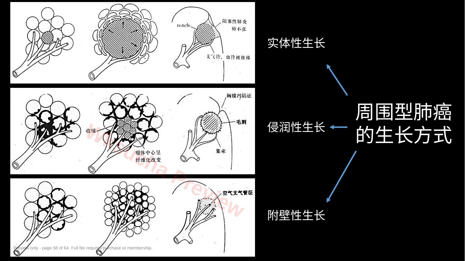 预览第 58 页