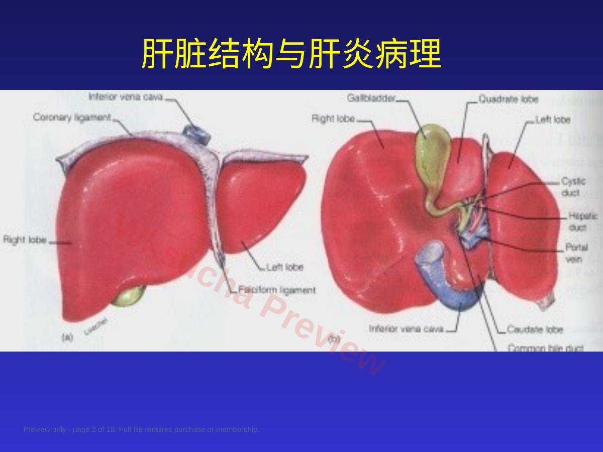 预览第 2 页