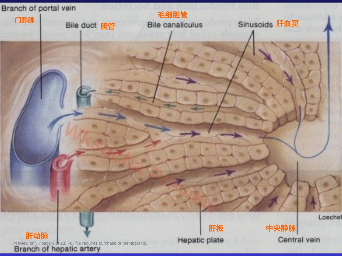 预览第 4 页