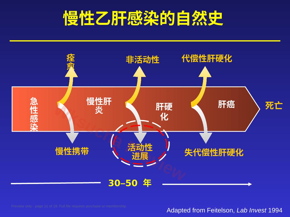 预览第 11 页