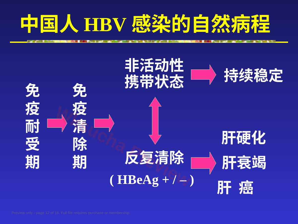预览第 12 页