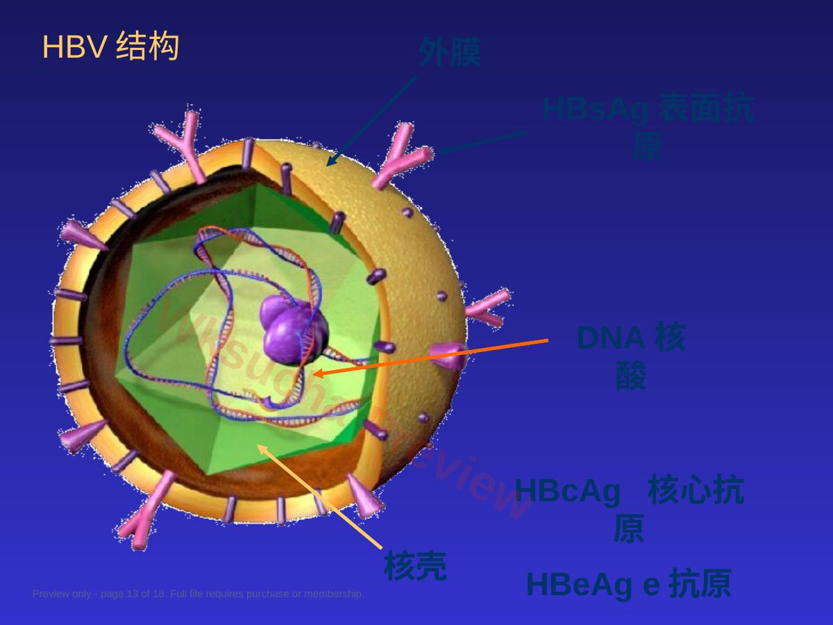 预览第 13 页